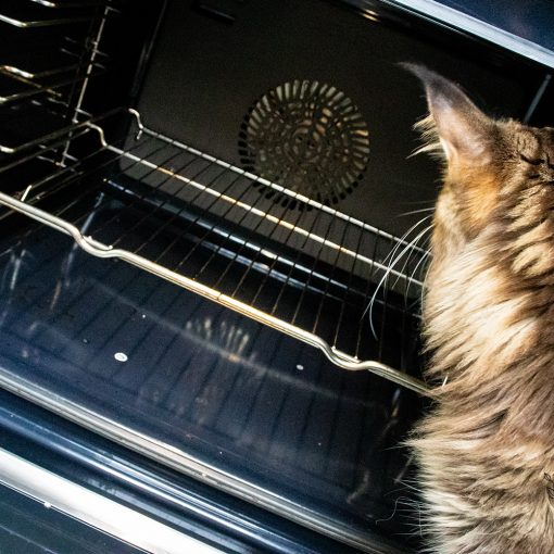 Backofen reinigen mit Zitronensäure