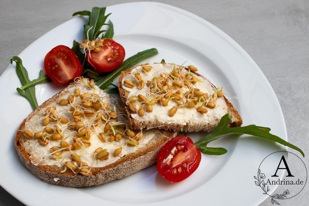 Weizen Sprossen auf Brot