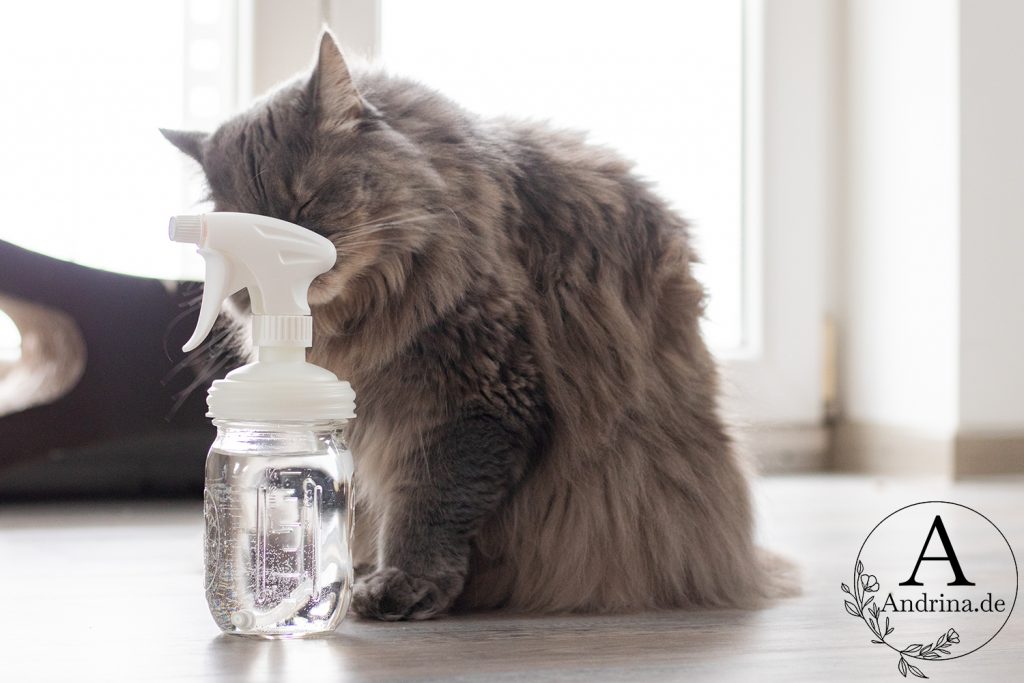 Wasserstoffperoxid Katze