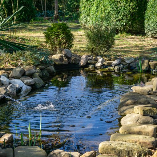 Wasserstoffperoxid Gartenteich