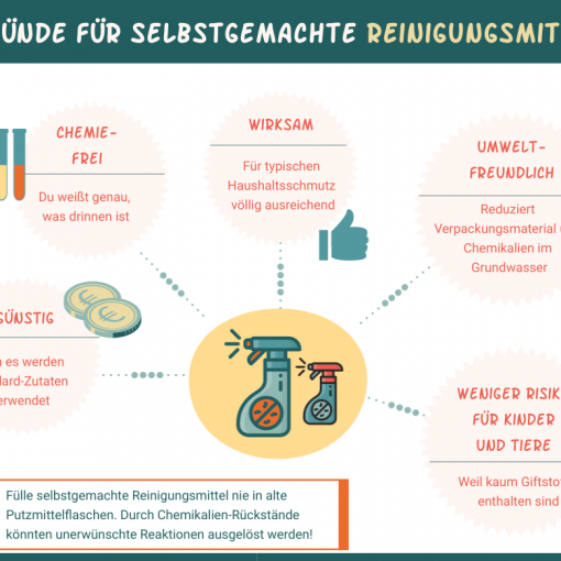 5 Gründe für Selbstgemachte Reinigungsmittel