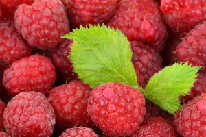 Gelee Himbeeren