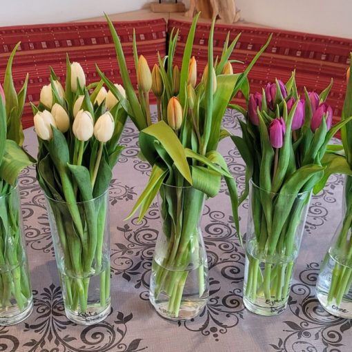 Fünf Wunderschöne Tulpen Sträuße in glas Vasen